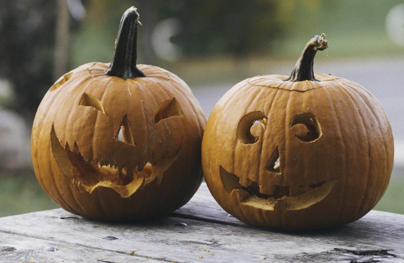Picture of Halloween Pumpkins